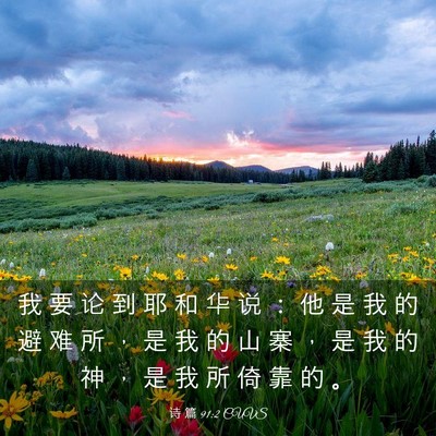 Picture 03 - 诗 篇 91:2 CUVS - 我 要 论 到 耶 和 华 说 ： 他 是 我 - Bible Verse Picture