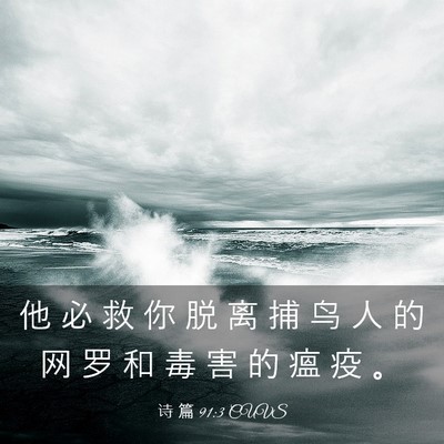 Picture 03 - 诗 篇 91:3 CUVS - 他 必 救 你 脱 离 捕 鸟 人 的 网 罗 - Bible Verse Picture