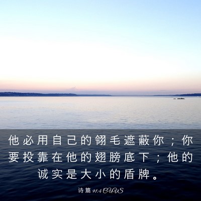 Picture 03 - 诗 篇 91:4 CUVS - 他 必 用 自 己 的 翎 毛 遮 蔽 你 ； - Bible Verse Picture