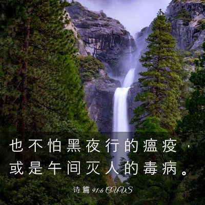 Picture 03 - 诗 篇 91:6 CUVS - 也 不 怕 黑 夜 行 的 瘟 疫 ， 或 是 - Bible Verse Picture