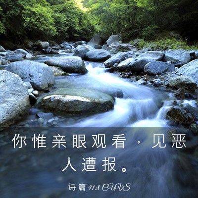 Picture 03 - 诗 篇 91:8 CUVS - 你 惟 亲 眼 观 看 ， 见 恶 人 遭 报 - Bible Verse Picture