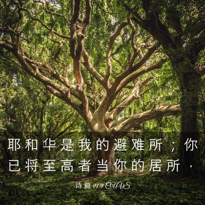 Picture 03 - 诗 篇 91:9 CUVS - 耶 和 华 是 我 的 避 难 所 ； 你 已 - Bible Verse Picture