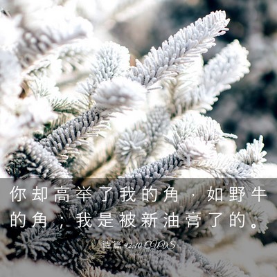 Picture 03 - 诗 篇 92:10 CUVS - 你 却 高 举 了 我 的 角 ， 如 野 牛 - Bible Verse Picture