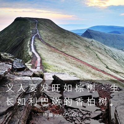 Picture 03 - 诗 篇 92:12 CUVS - 义 人 要 发 旺 如 棕 树 ， 生 长 如 - Bible Verse Picture