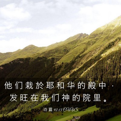 Picture 03 - 诗 篇 92:13 CUVS - 他 们 栽 於 耶 和 华 的 殿 中 ， 发 - Bible Verse Picture