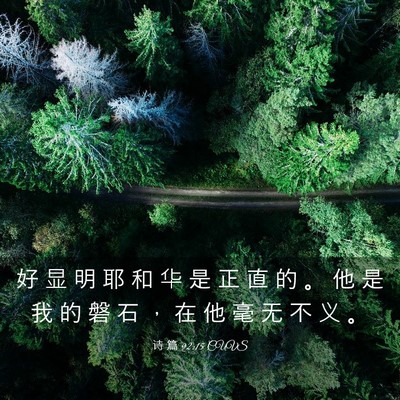 Picture 03 - 诗 篇 92:15 CUVS - 好 显 明 耶 和 华 是 正 直 的 。 他 - Bible Verse Picture