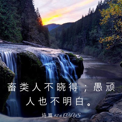 Picture 03 - 诗 篇 92:6 CUVS - 畜 类 人 不 晓 得 ； 愚 顽 人 也 不 - Bible Verse Picture