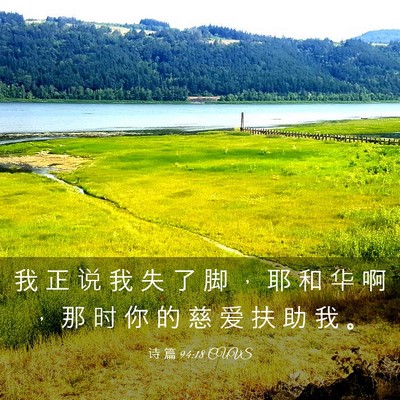 Picture 03 - 诗 篇 94:18 CUVS - 我 正 说 我 失 了 脚 ， 耶 和 华 啊 - Bible Verse Picture
