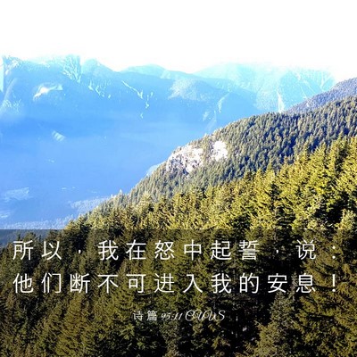 Picture 03 - 诗 篇 95:11 CUVS - 所 以 ， 我 在 怒 中 起 誓 ， 说 ： - Bible Verse Picture