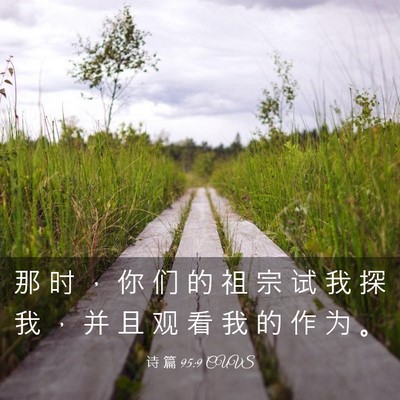 Picture 03 - 诗 篇 95:9 CUVS - 那 时 ， 你 们 的 祖 宗 试 我 探 我 - Bible Verse Picture