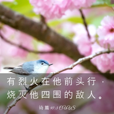 Picture 03 - 诗 篇 97:3 CUVS - 有 烈 火 在 他 前 头 行 ， 烧 灭 他 - Bible Verse Picture