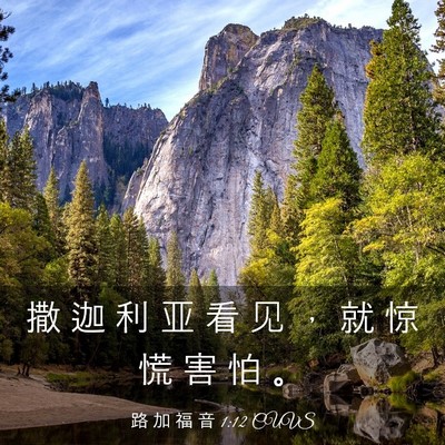 Picture 03 - 路 加 福 音 1:12 CUVS - 撒 迦 利 亚 看 见 ， 就 惊 慌 害 怕 - Bible Verse Picture