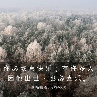 Picture 03 - 路 加 福 音 1:14 CUVS - 你 必 欢 喜 快 乐 ； 有 许 多 人 因 - Bible Verse Picture