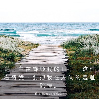 Picture 03 - 路 加 福 音 1:25 CUVS - 说 ： 主 在 眷 顾 我 的 日 子 ， 这 - Bible Verse Picture