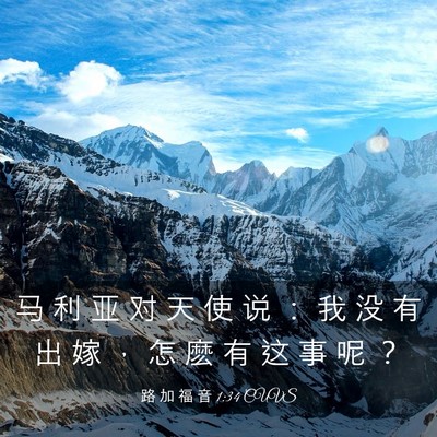 Picture 03 - 路 加 福 音 1:34 CUVS - 马 利 亚 对 天 使 说 ： 我 没 有 出 - Bible Verse Picture
