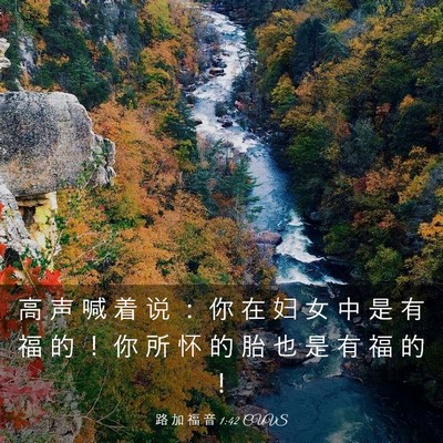 Picture 03 - 路 加 福 音 1:42 CUVS - 高 声 喊 着 说 ： 你 在 妇 女 中 是 - Bible Verse Picture