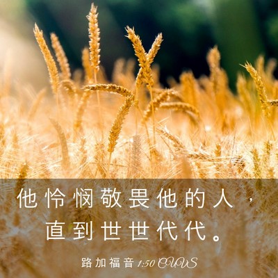 Picture 03 - 路 加 福 音 1:50 CUVS - 他 怜 悯 敬 畏 他 的 人 ， 直 到 世 - Bible Verse Picture