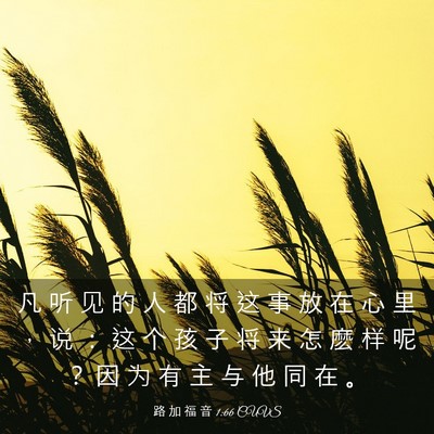 Picture 03 - 路 加 福 音 1:66 CUVS - 凡 听 见 的 人 都 将 这 事 放 在 心 - Bible Verse Picture