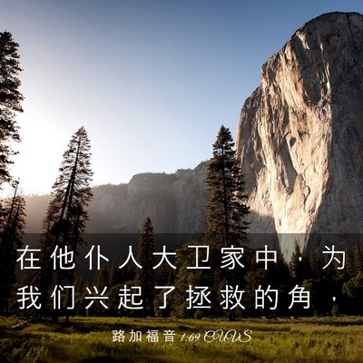 Picture 03 - 路 加 福 音 1:69 CUVS - 在 他 仆 人 大 卫 家 中 ， 为 我 们 - Bible Verse Picture