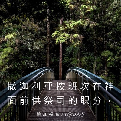 Picture 03 - 路 加 福 音 1:8 CUVS - 撒 迦 利 亚 按 班 次 在 神 面 前 供 - Bible Verse Picture