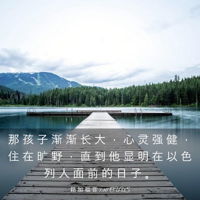 Picture 03 - 路 加 福 音 1:80 CUVS - 那 孩 子 渐 渐 长 大 ， 心 灵 强 健 - Bible Verse Picture