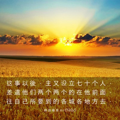 Picture 03 - 路 加 福 音 10:1 CUVS - 这 事 以 後 ， 主 又 设 立 七 十 个 - Bible Verse Picture