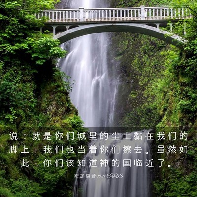 Picture 03 - 路 加 福 音 10:11 CUVS - 说 ： 就 是 你 们 城 里 的 尘 土 黏 - Bible Verse Picture