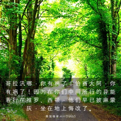 Picture 03 - 路 加 福 音 10:13 CUVS - 哥 拉 汛 哪 ， 你 有 祸 了 ！ 伯 赛 - Bible Verse Picture