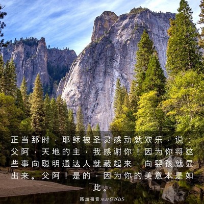 Picture 03 - 路 加 福 音 10:21 CUVS - 正 当 那 时 ， 耶 稣 被 圣 灵 感 动 - Bible Verse Picture