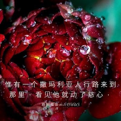 Picture 03 - 路 加 福 音 10:33 CUVS - 惟 有 一 个 撒 玛 利 亚 人 行 路 来 - Bible Verse Picture