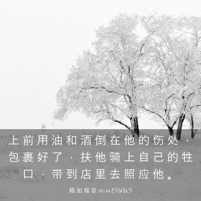 Picture 03 - 路 加 福 音 10:34 CUVS - 上 前 用 油 和 酒 倒 在 他 的 伤 处 - Bible Verse Picture