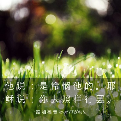 Picture 03 - 路 加 福 音 10:37 CUVS - 他 说 ： 是 怜 悯 他 的 。 耶 稣 说 - Bible Verse Picture