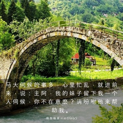 Picture 03 - 路 加 福 音 10:40 CUVS - 马 大 伺 候 的 事 多 ， 心 里 忙 乱 - Bible Verse Picture