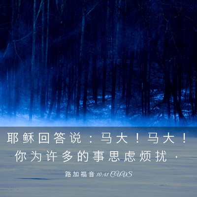 Picture 03 - 路 加 福 音 10:41 CUVS - 耶 稣 回 答 说 ： 马 大 ！ 马 大 ！ - Bible Verse Picture