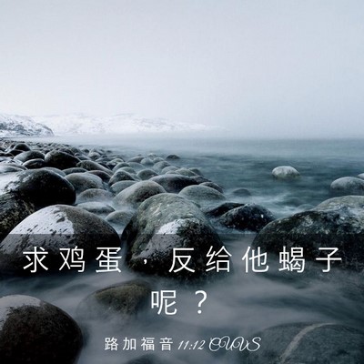 Picture 03 - 路 加 福 音 11:12 CUVS - 求 鸡 蛋 ， 反 给 他 蝎 子 呢 - Bible Verse Picture