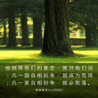 Picture 03 - 路 加 福 音 11:17 CUVS - 他 晓 得 他 们 的 意 念 ， 便 对 他 - Bible Verse Picture