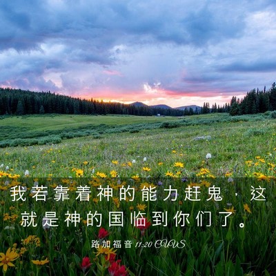 Picture 03 - 路 加 福 音 11:20 CUVS - 我 若 靠 着 神 的 能 力 赶 鬼 ， 这 - Bible Verse Picture