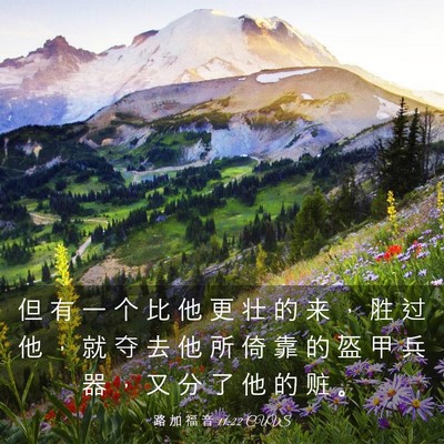 Picture 03 - 路 加 福 音 11:22 CUVS - 但 有 一 个 比 他 更 壮 的 来 ， 胜 - Bible Verse Picture