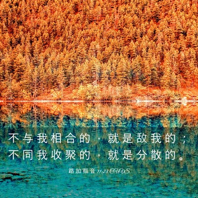 Picture 03 - 路 加 福 音 11:23 CUVS - 不 与 我 相 合 的 ， 就 是 敌 我 的 - Bible Verse Picture