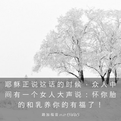 Picture 03 - 路 加 福 音 11:27 CUVS - 耶 稣 正 说 这 话 的 时 候 ， 众 人 - Bible Verse Picture