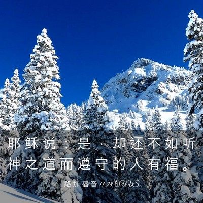Picture 03 - 路 加 福 音 11:28 CUVS - 耶 稣 说 ： 是 ， 却 还 不 如 听 神 - Bible Verse Picture
