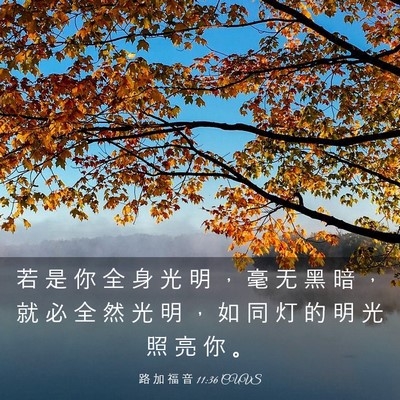 Picture 03 - 路 加 福 音 11:36 CUVS - 若 是 你 全 身 光 明 ， 毫 无 黑 暗 - Bible Verse Picture