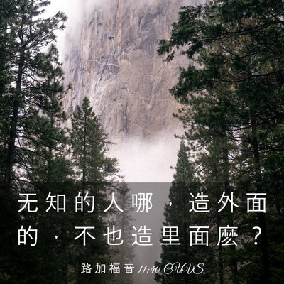 Picture 03 - 路 加 福 音 11:40 CUVS - 无 知 的 人 哪 ， 造 外 面 的 ， 不 - Bible Verse Picture