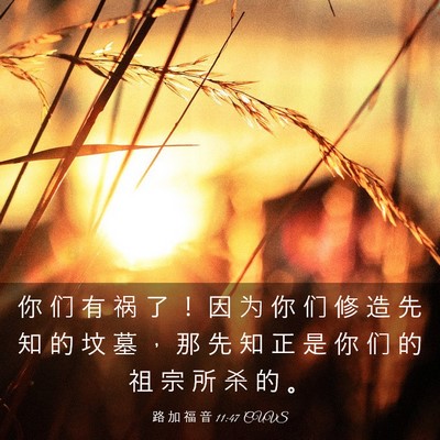 Picture 03 - 路 加 福 音 11:47 CUVS - 你 们 有 祸 了 ！ 因 为 你 们 修 造 - Bible Verse Picture