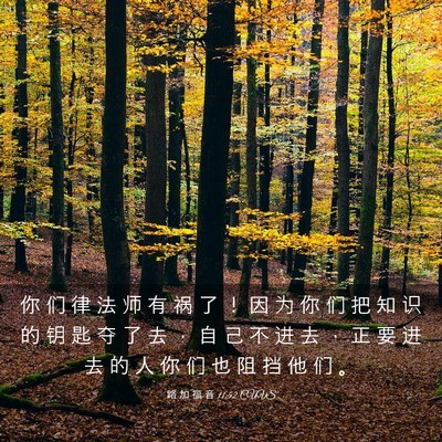 Picture 03 - 路 加 福 音 11:52 CUVS - 你 们 律 法 师 有 祸 了 ！ 因 为 你 - Bible Verse Picture