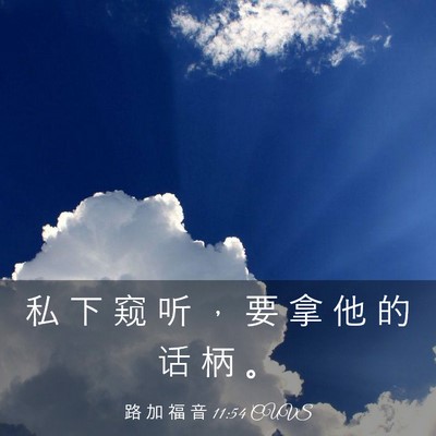 Picture 03 - 路 加 福 音 11:54 CUVS - 私 下 窥 听 ， 要 拿 他 的 话 柄 - Bible Verse Picture