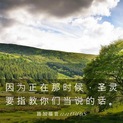 Picture 03 - 路 加 福 音 12:12 CUVS - 因 为 正 在 那 时 候 ， 圣 灵 要 指 - Bible Verse Picture