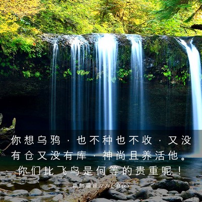 Picture 03 - 路 加 福 音 12:24 CUVS - 你 想 乌 鸦 ， 也 不 种 也 不 收 ， - Bible Verse Picture
