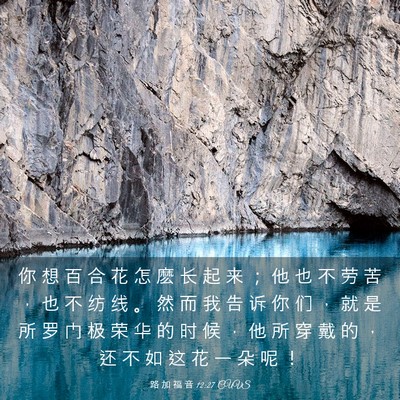 Picture 03 - 路 加 福 音 12:27 CUVS - 你 想 百 合 花 怎 麽 长 起 来 ； 他 - Bible Verse Picture
