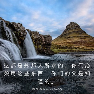 Picture 03 - 路 加 福 音 12:30 CUVS - 这 都 是 外 邦 人 所 求 的 。 你 们 - Bible Verse Picture